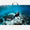 STORM - Pinne da immersione